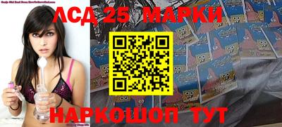 индика Тула