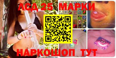 индика Тула